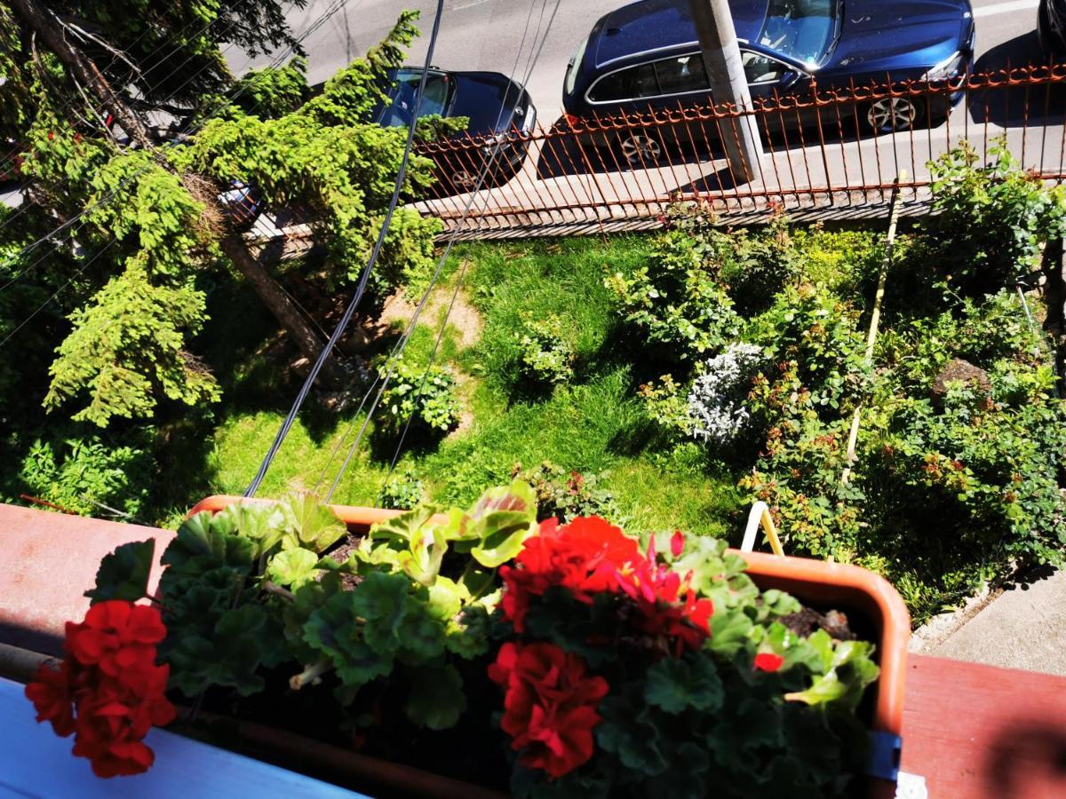 Apartament Hunter Διαμέρισμα Κλουζ-Ναπόκα Εξωτερικό φωτογραφία